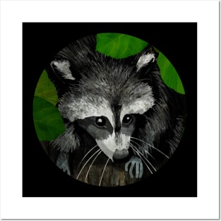 raccoon Posters and Art